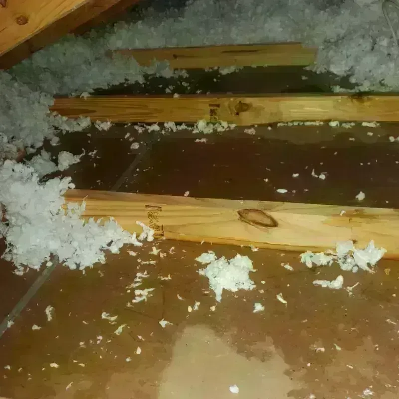 Attic Water Damage in Rosebud, TX