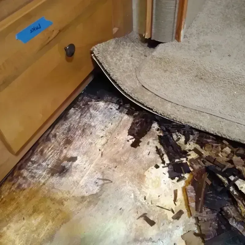 Wood Floor Water Damage in Rosebud, TX